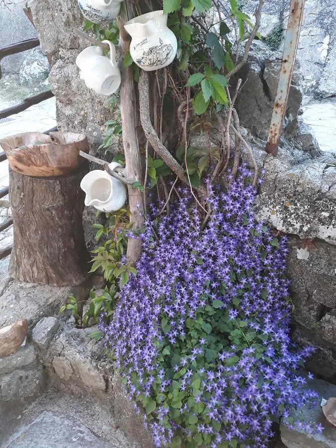 Apartman Biba Lubenice